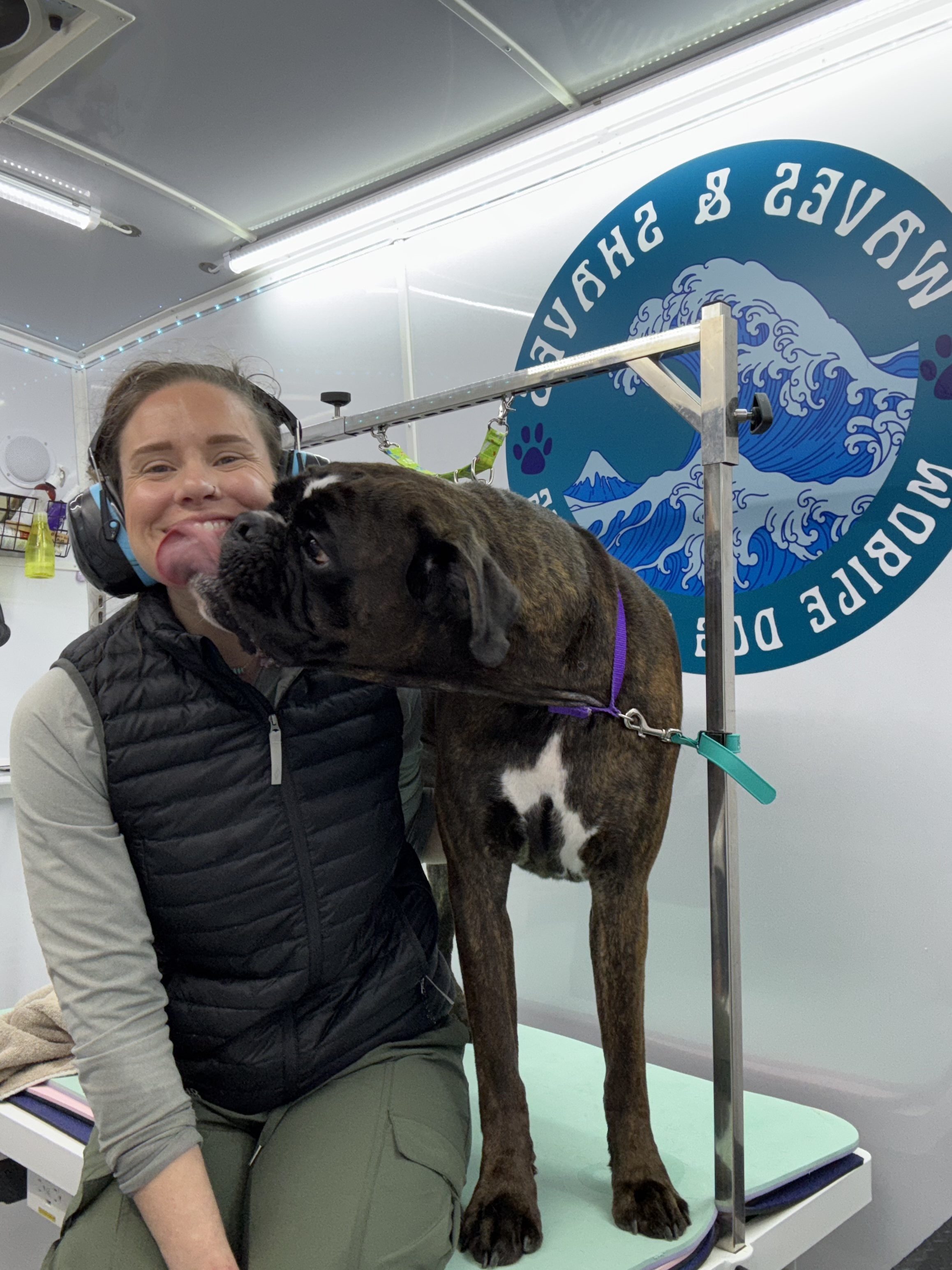 Kelsie grooming a dog inside the mobile grooming van